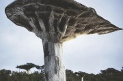好，用户让我写一篇关于天津公租房三种补贴申请的文章，标题和内容都要写。首先，我需要明确文章的结构。标题已经给出，接下来是引言，然后分三个部分详细说明每种补贴，最后是结论