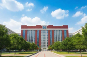 国内大学生教育排名网站解析，揭秘各大高校实力与排名之谜，揭秘，国内大学生教育排名网站解读，高校实力与排名背后的真相