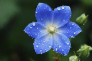 雨花区网站维护招聘信息—你还在等什么？，雨花区大型企业紧急招聘，网站维护职位，立即投递！