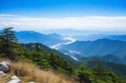 白山网站维护选择攻略，白山网站维护选择的全攻略，从了解需求到制定计划