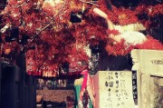 好，用户让我写一篇关于驻地补贴申请的文章，首先得确定标题。标题要简洁明了，能吸引读者，所以驻地补贴申请指南，如何高效申请补贴听起来不错