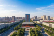 尖草坪区网站排名口碑网，揭秘尖草坪区网络营销新风向标，尖草坪区网络营销新趋势，口碑网网站排名揭秘