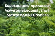 嗯，用户让我写一篇关于申请环境补贴的文章，标题和内容都要写。首先，我得理解用户的需求。他们可能需要一篇结构清晰、内容详实的文章，可能用于申请材料或者教育用途。标题要吸引人，内容要详细，至少855个字