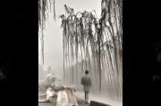 好，用户让我写一篇关于剑麻申请补贴的文章，标题和内容都要写。首先，我需要明确文章的结构。标题要吸引人，可能用剑麻申请补贴，开启绿色未来之路这样的标题，既点明了主题，又有一定的吸引力