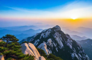 泰山网站建设与维护的成功案例分享，互联网营销，从网站设计到维护的成功经验分享