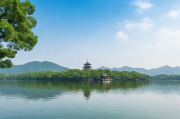 西湖区网站排名优化服务，助力企业抢占网络市场制高点，西湖区企业网络市场制高点抢占，专业网站排名优化服务
