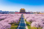 杏花岭区网站排名活动盛大开启，助力企业线上崛起！杏花岭区企业线上崛起新动力，网站排名活动盛大启动