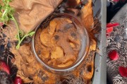 好，用户让我写一篇关于河南灾后汽车补贴申请表的文章，标题和内容都要写。首先，我需要确定文章的结构。标题已经给出，接下来是引言，然后是补贴申请的重要性，接着是申请流程，最后是总结