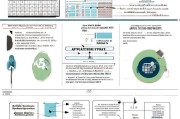 社保补贴申请时间，政策解读与办理指南