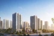 郑州网站搭建与维护的全面解决方案，郑州专业网站建设和维护服务全面方案推荐