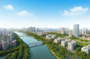 随州网站排名优化费用解析，性价比与投资回报的平衡之道，随州网站排名优化，性价比与投资回报解析