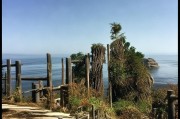 好，用户让我写一篇关于故申请补贴的文章，首先得确定标题。标题要简洁明了，又能吸引读者。我想到故申请补贴，助力乡村振兴的实践之路这个标题，既点明了主题，又突出了乡村振兴的重要性