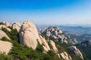 崂山区网站搜索排名优化攻略，提升网站流量，抢占市场先机，崂山区网站SEO优化秘籍，流量翻倍，抢占市场制高点