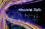 网站流量英文_网络流量英文