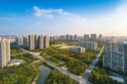 梧州网站建设供应商排名，揭秘梧州地区优质服务商，助力企业互联网发展，梧州优质网站建设服务商大盘点，助力企业互联网腾飞