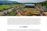 好，用户让我写一篇关于12123补贴申请的文章，首先我需要明确这个补贴是什么。看起来像是一个地方性的补贴项目，可能和乡村振兴或地方经济发展有关。用户还给了标题和内容的结构，我得按照这个来