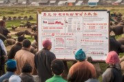 四川养猪场如何申请补贴，政策解读与申请指南