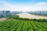 菜园坝网站维护推广方案，菜园坝网站优化与推广策略实施方案