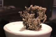好，用户让我写一篇关于山东临时性工作补贴申请的文章，标题和内容都要写。首先，我需要明确文章的结构。标题要吸引人，内容要详细且符合要求，字数不少于869个字