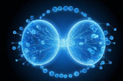 揭秘2023年综合类网站排名，流量密码与行业趋势解析，2023年综合类网站流量密码揭秘，排名解析与行业趋势洞察