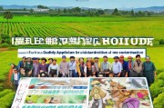 农田建设补贴申请指南，助力农业现代化