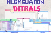 如何轻松查询网站注册信息，实用指南与技巧