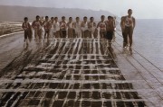 好，用户让我写一篇关于达达申请补贴的文章，标题和内容都要写。首先，我需要明确达达指的是什么。可能是一个品牌，也可能是某个项目或者公司。假设达达是一个需要申请补贴的项目或企业，我需要先确定文章的结构