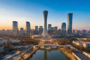 2023年北京招标网站平台排名及行业分析报告，2023年北京招标网站平台行业洞察与排名报告