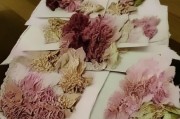 好，用户让我写一篇关于武夷山市疾病补贴申请的文章，标题和内容都要写。首先，我需要明确文章的结构，确保内容全面且符合要求