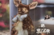 好，用户让我写一篇关于旧车补贴申请的文章，标题和内容都要写。首先，我需要确定文章的结构。标题已经给出，接下来是引言，然后是补贴政策的详细说明，接着是申请流程，最后是总结和展望