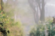 好，用户让我写一篇关于西乡补贴申请的文章，首先得确定标题。标题要简洁明了，能吸引读者，所以西乡补贴申请指南，如何轻松获得经济支持听起来不错