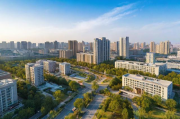 莱山区360网站排名，助力企业抢占网络市场制高点，莱山区企业网络市场制高点抢占攻略，360网站排名助力腾飞