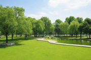 2023年度国内公园网站排名，探寻绿色休闲新天地，2023年度中国公园网站排行榜，绿色休闲空间导航指南