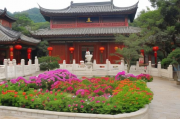 全国花楼论坛网站排名，揭秘热门花楼论坛的江湖地位，揭秘全国花楼论坛网站排名，热门花楼论坛江湖地位大起底