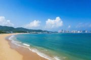 龙湾网站排名，揭秘优化策略，助力企业抢占市场先机，龙湾网站排名攻略，揭秘优化策略，助企业抢占市场制高点