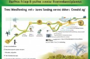 美容养生网站优化排名攻略，提升网站流量，助力品牌崛起，美容养生网站SEO优化秘籍，流量翻倍，品牌飞跃攻略
