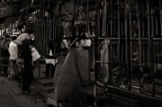 好，用户让我写一篇关于楼顶种菜补贴申请的文章，首先得确定标题。标题要吸引人，同时明确主题，比如楼顶种菜补贴申请指南，开启绿色生活新方式这样既点明了补贴，又说明了用途