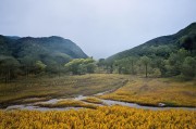 好，用户让我写一篇关于公园申请补贴的文章，标题和内容都要写。首先，我需要确定文章的结构。标题要吸引人，可能用城市公园发展新机遇，补贴申请指南这样的标题，既点明了主题，又有操作性