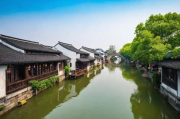 苏州网站SEO十大排名，揭秘本地优化高手！苏州SEO高手排名揭秘，本地网站优化实力榜揭晓！