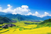 旅游十大良心网站排名，告别信息泛滥，精准规划您的旅程，精选旅游网站排行，告别信息迷航，轻松规划完美旅程