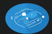 网站功能报价维护，确保您的业务始终保持在线状态，网站功能报价维护服务，持续在线，保护您的业务不被中断