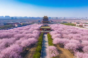 杏花岭区智能化网站排名，揭秘区域网站建设的佼佼者，杏花岭区网站建设领军者，揭秘智能化网站排名背后的佼佼者