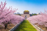 杏花岭区网站排名提升策略，助力企业互联网营销新篇章，杏花岭区企业互联网营销新突破，网站排名优化策略解析