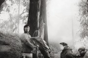 用中文注册邮箱，轻松开启网络生活