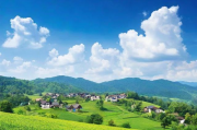 新山村网站推广公司排名，揭秘行业翘楚，助力企业腾飞，新山村网站推广公司实力榜，揭秘行业领军者，助力企业飞跃