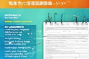 2023年汕头创业补贴申请表填写指南，助您轻松申请资金支持