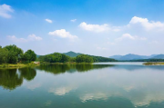 平湖中小型网站优化排名提升策略，打造在线品牌新高度，平湖地区中小型网站SEO优化攻略，提升排名，塑造品牌新形象