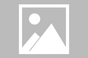 深圳宠物服务网站排名，专业平台助力宠物生活无忧，深圳宠物服务网站盘点，专业平台让宠物生活更安心