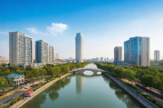 南汇网站排名2015，揭秘南汇地区网络营销的崛起之路，南汇网络营销崛起之路，2015年网站排名揭秘