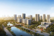 抚州市百度网站优化排名攻略，提升网站流量，抢占市场先机，抚州百度网站优化攻略，高效提升流量，锁定市场优势